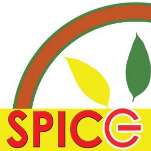 Spicy Chicken