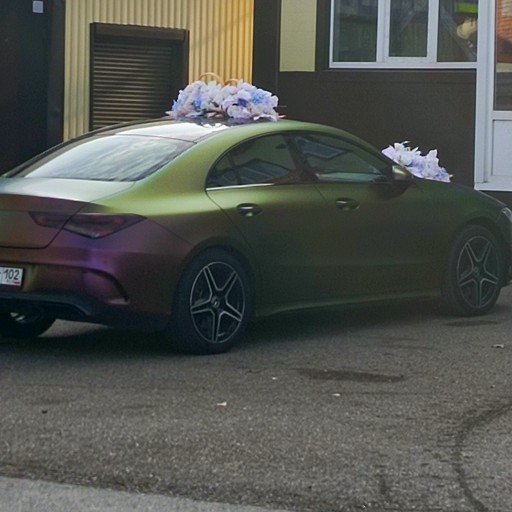 Nova